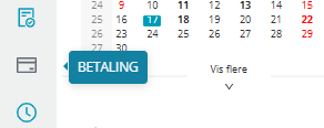 Betaling-ikonet i Medarbeideren.