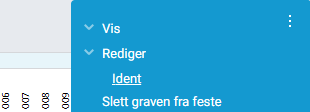 Valget «Rediger / Ident» i menyen.