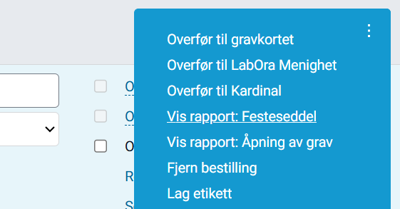 Vis rapport: Festeseddel.