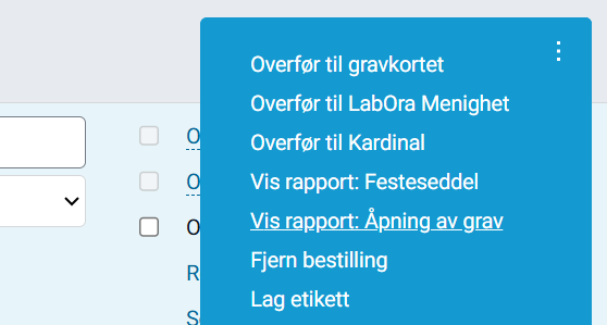 Vis rapport: Åpning av grav.