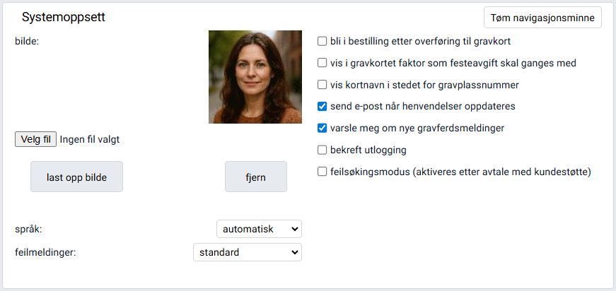 Boksen 'Systemoppsett'.