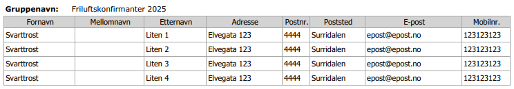 Rapport: Gruppemedlemmer med kontaktinfo.