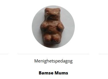 Skjermbildet viser et kontakt publisert på nettside.