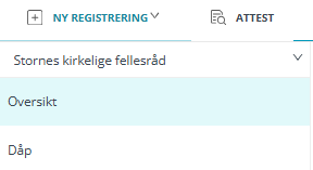 Fanen 'Oversikt' i labOra Menighet.