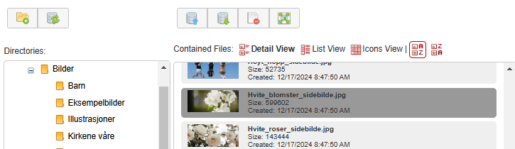 Skjermbildet viser nettstedets filsystem på nettsider.