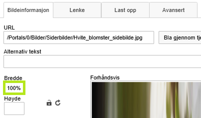 Skjermbildet viser bildeegenskaper på labOra nettsider.