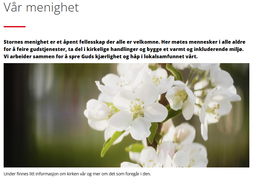 Skjermbildet viser tekst-modul med et sidebilde på nettsider.