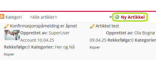 Skjermbildet viser alternativet 'Ny Artikkel' på siden 'Artikler'.