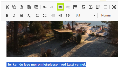 Skjermbildet viser teksten i artikkelinnholdet som skal vise for en lenke på labOra nettsideartikkelen.