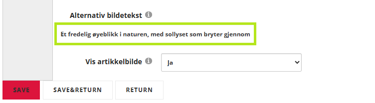 Skjermbildet viser felte for alternativ bildetekst tilhørende en artikkelbilde.