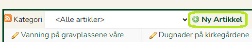 Skjermbildet viser alternativet 'Ny Artikkel' på siden 'Artikler'.