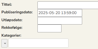Skjermbildet viser redigering av felt for en ny artikkel.