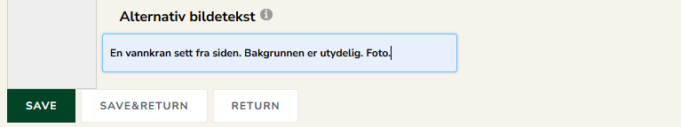 Skjermbildet viser felt for alternativ bildetekst tilhørende en artikkelbilde.