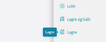 Knappen Lagre i skjema.