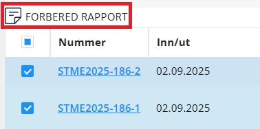Knappen 'Forbered rapport'.
